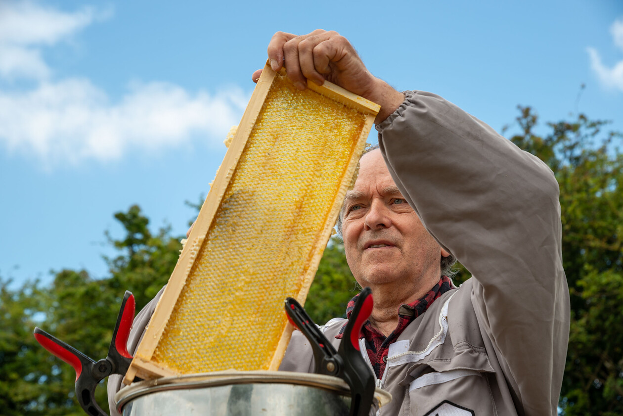 DSC6615jpgFresh-Market-Update-M S-beehives-[TIF-30015681825].jpg